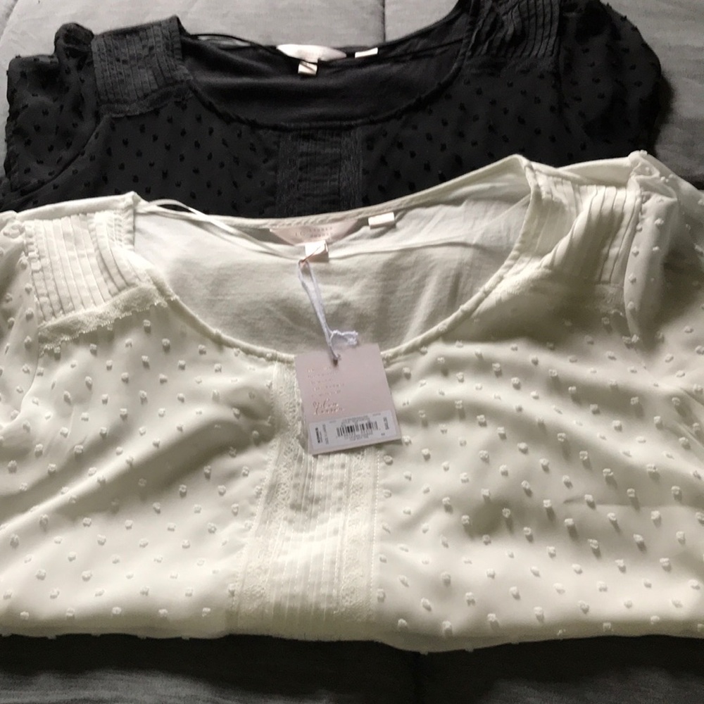 2 shirts nwt Lauren Conrad white and black